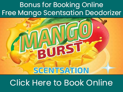 mango deodorizer coupon